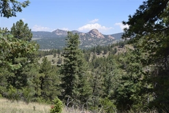 Colorado Land for Sale