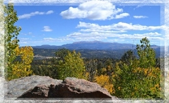 Colorado Cabin For Sale