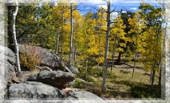 Colorado Cabin For Sale
