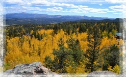 Colorado Cabin For Sale