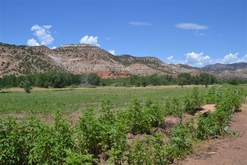 Colorado Land for Sale