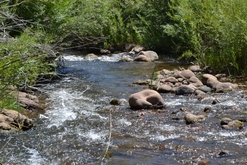 Colorado Land for Sale
