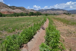 Colorado Land for Sale