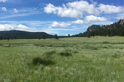 Colorado Land for Sale