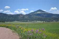 Colorado Land for Sale