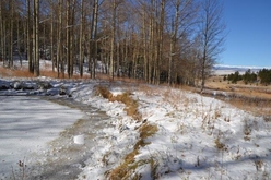 Colorado Ranch For Sale