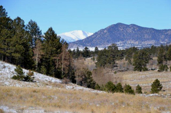 Colorado Ranches For Sale