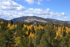 Colorado Cabins for Sale