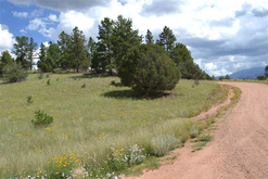 Colorado Land for Sale