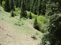 Colorado Land For Sale