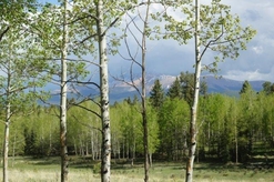 Colorado Land for Sale