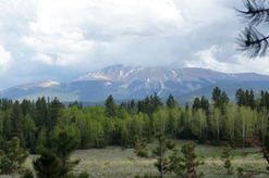 Colorado Land for Sale