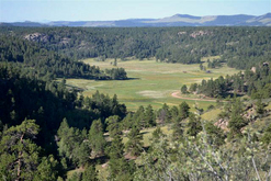Colorado Land for Sale