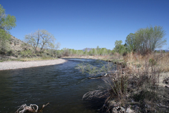 Colorado Land For Sale