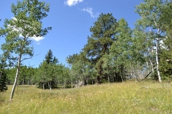 Colorado Land for Sale