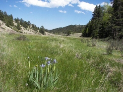 Colorado Land for Sale