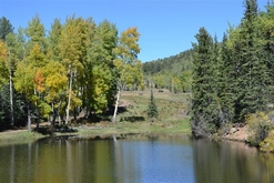 Colorado Land for Sale