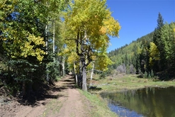 Colorado Land for Sale