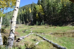 Colorado Land for Sale