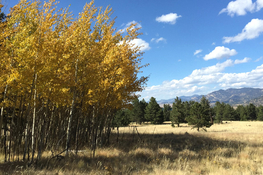 Colorado Cabin For Sale